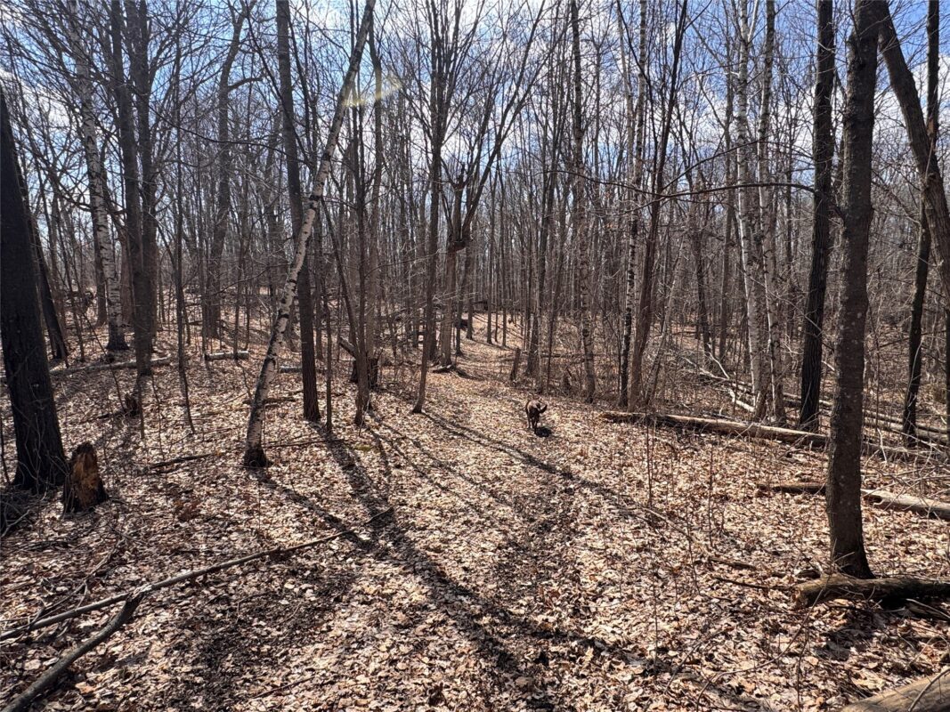 Land at 2339 150th 150th Street, Luck, WI 54853 — photo 10