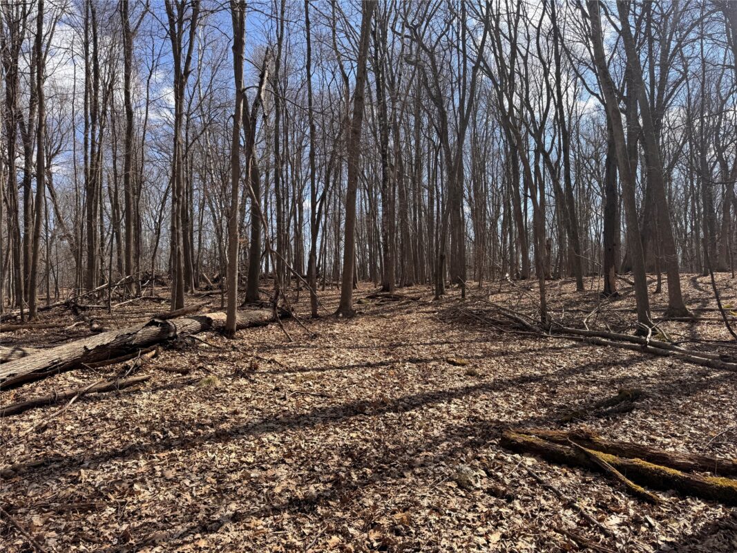 Land at 2339 150th 150th Street, Luck, WI 54853 — photo 14