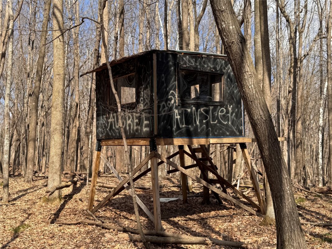 Land at 2339 150th 150th Street, Luck, WI 54853 — photo 15