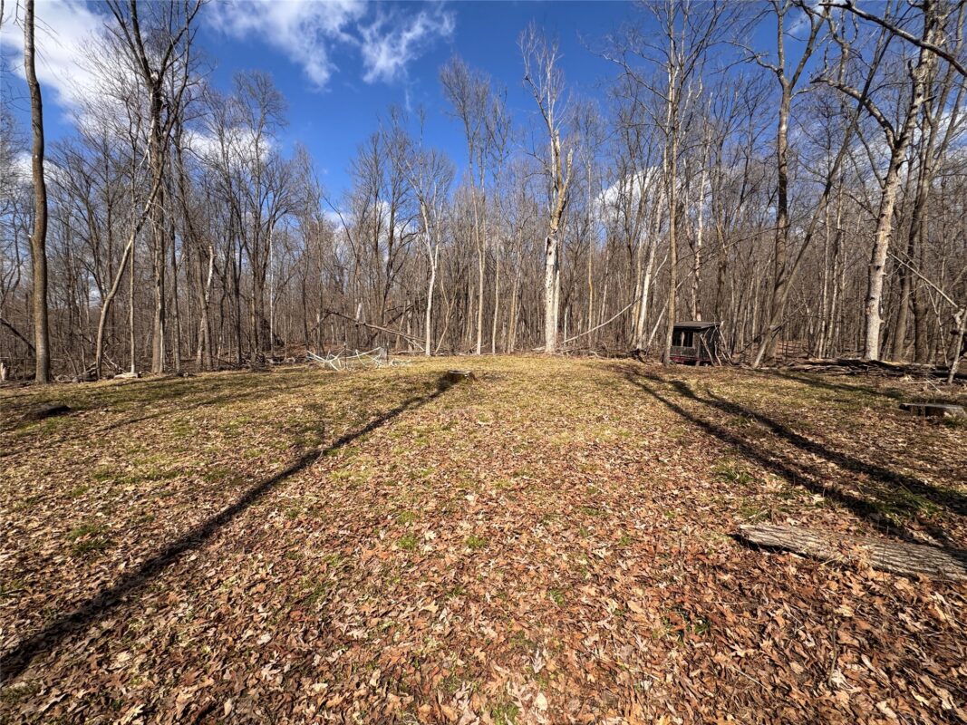Land at 2339 150th 150th Street, Luck, WI 54853 — photo 17