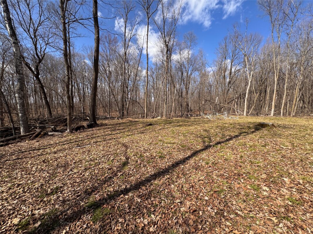 Land at 2339 150th 150th Street, Luck, WI 54853 — photo 18