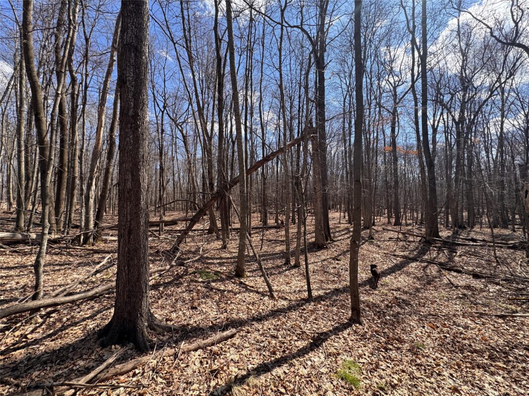 Land at 2339 150th 150th Street, Luck, WI 54853 — photo 19