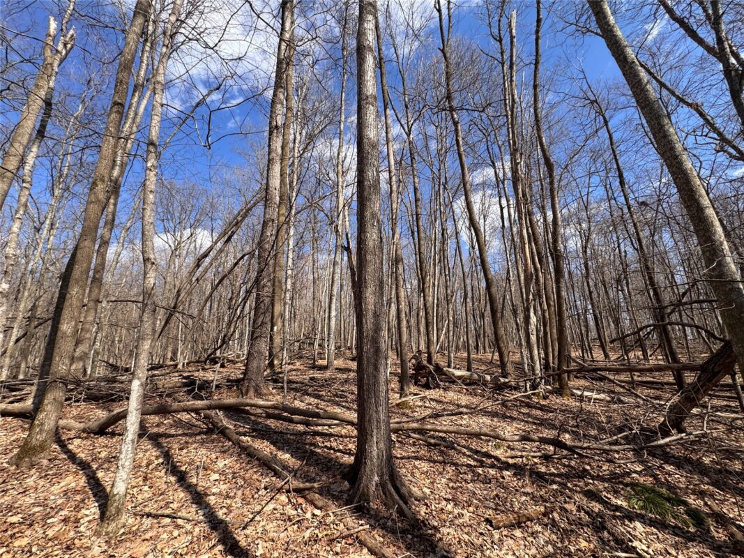 Land at 2339 150th 150th Street, Luck, WI 54853 — photo 20