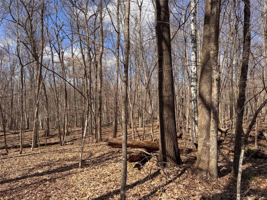 Land at 2339 150th 150th Street, Luck, WI 54853 — photo 22