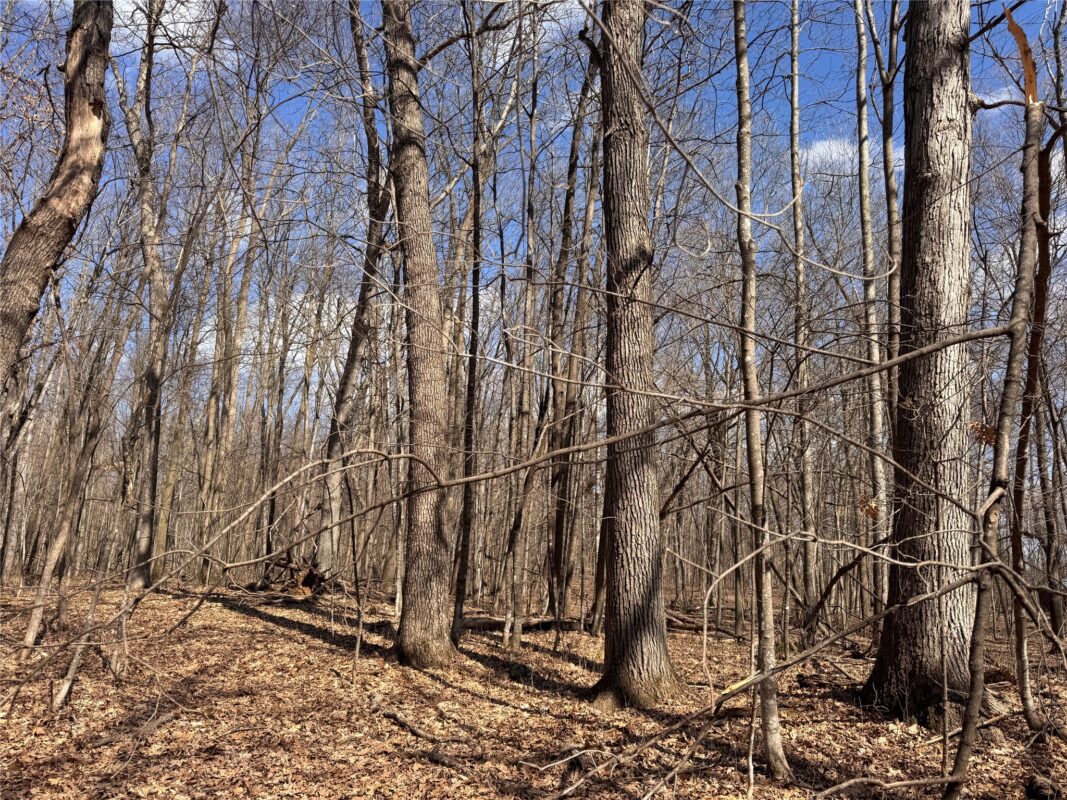 Land at 2339 150th 150th Street, Luck, WI 54853 — photo 23