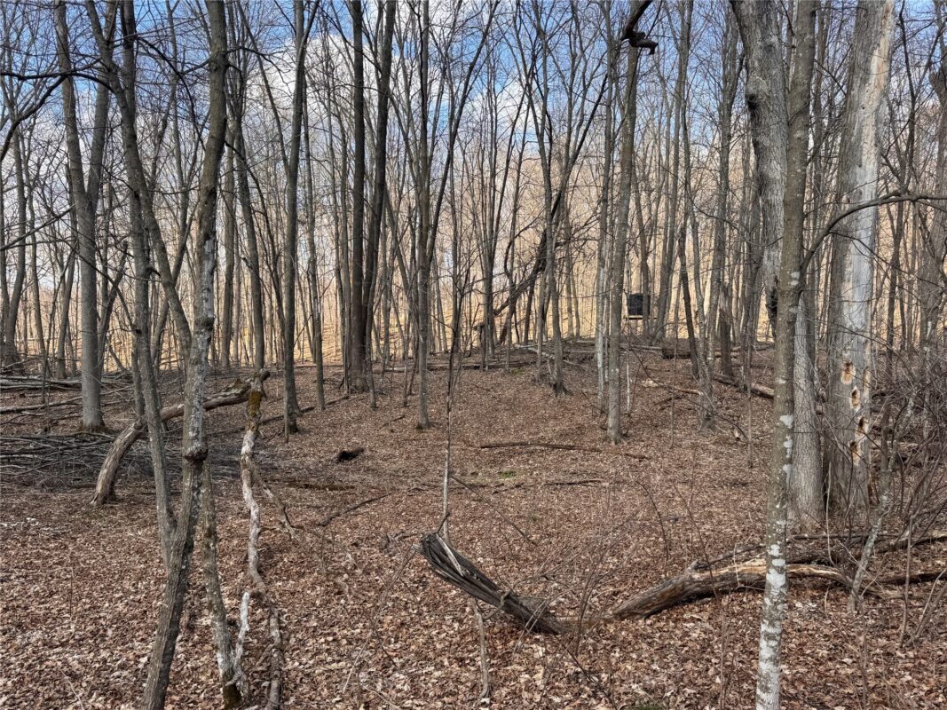 Land at 2339 150th 150th Street, Luck, WI 54853 — photo 24