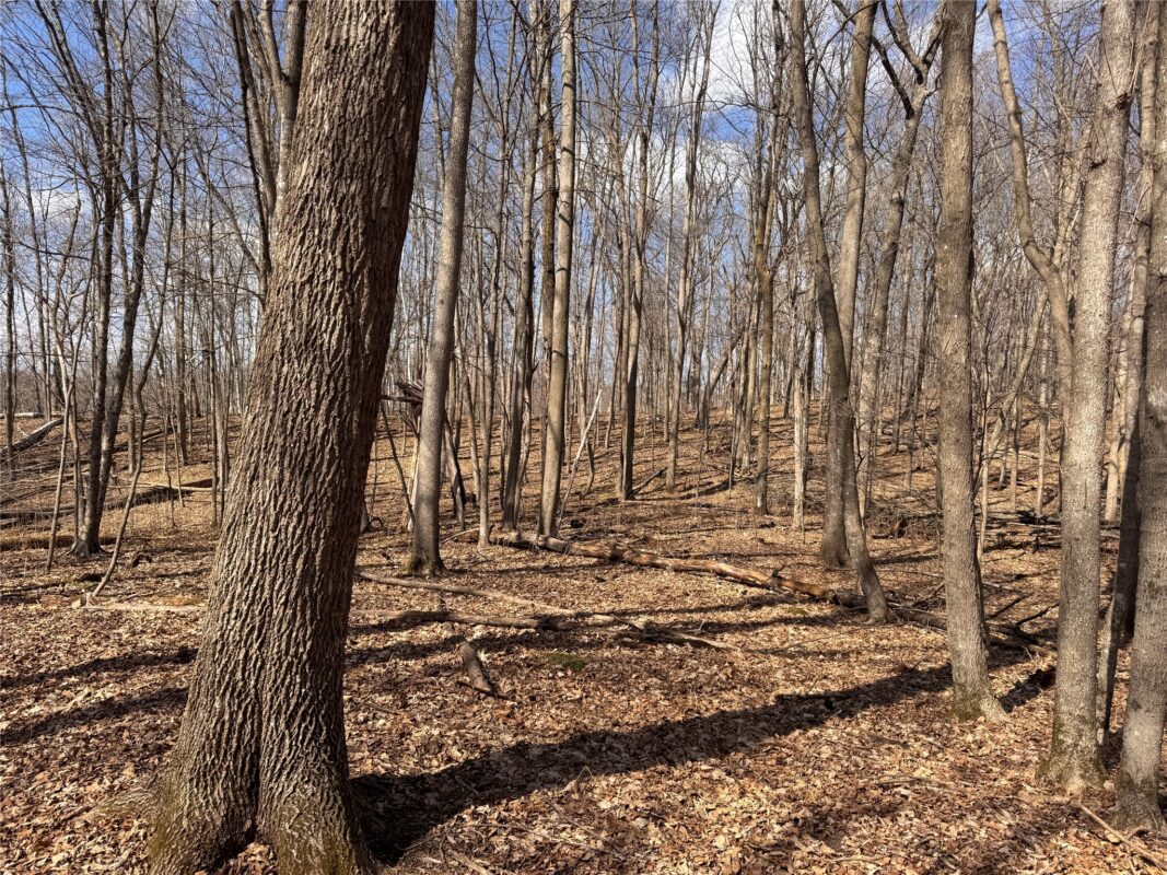 Land at 2339 150th 150th Street, Luck, WI 54853 — photo 25