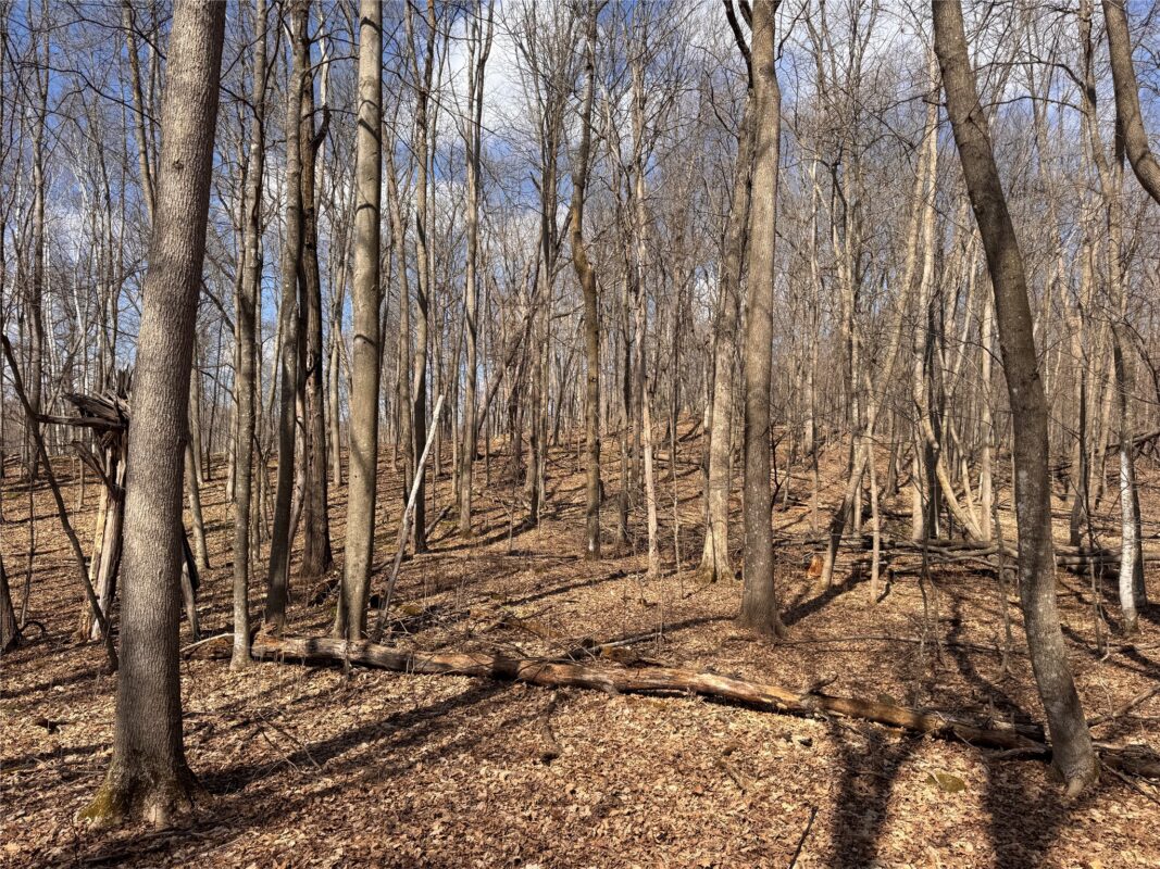 Land at 2339 150th 150th Street, Luck, WI 54853 — photo 26