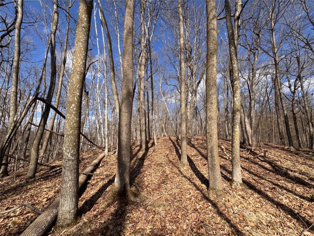 Land at 2339 150th 150th Street, Luck, WI 54853 — photo 28