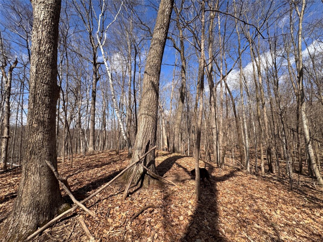 Land at 2339 150th 150th Street, Luck, WI 54853 — photo 29