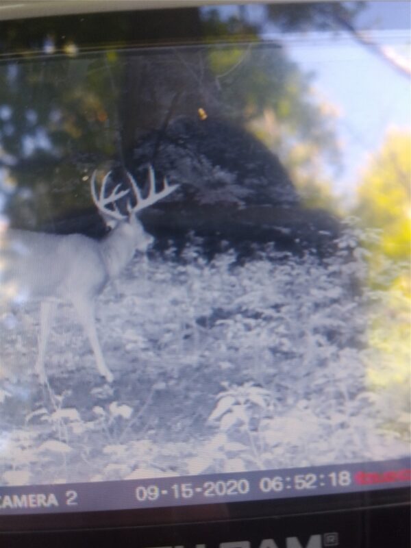 Land at 2339 150th 150th Street, Luck, WI 54853 — photo 3