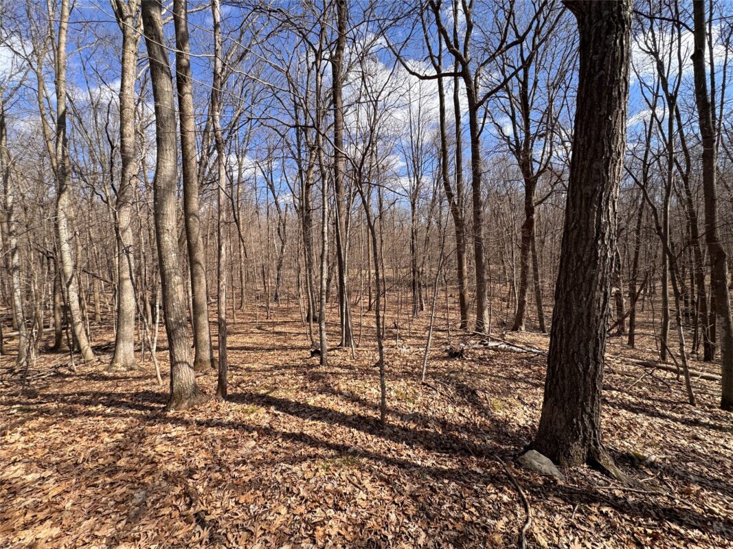 Land at 2339 150th 150th Street, Luck, WI 54853 — photo 30