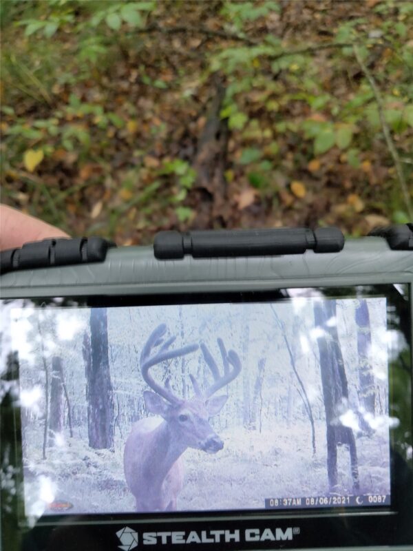 Land at 2339 150th 150th Street, Luck, WI 54853 — photo 31