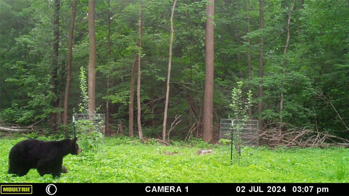 Land at 2339 150th 150th Street, Luck, WI 54853 — photo 32