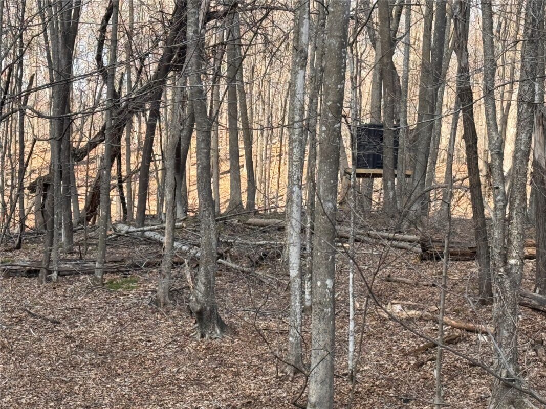 Land at 2339 150th 150th Street, Luck, WI 54853 — photo 4