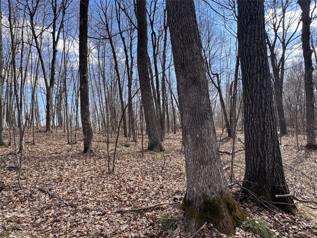 Land at 2339 150th 150th Street, Luck, WI 54853 — photo 8