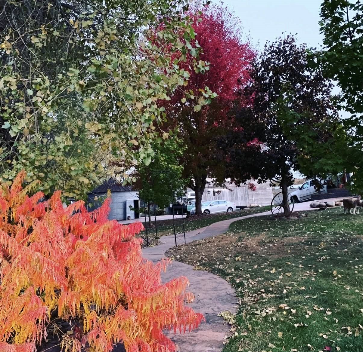 Commercial Sale at 23566 Adams Street, Independence, WI 54747 — photo 10