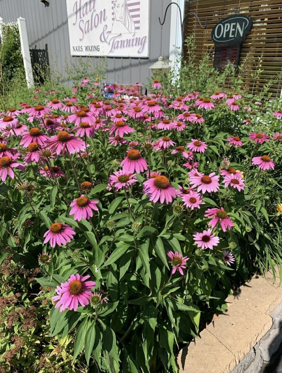 23566 Adams Street Independence WI 54747 — photo 44