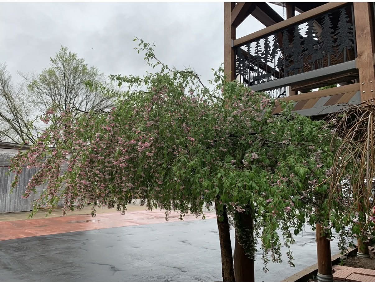 23566 Adams Street Independence WI 54747 — photo 48