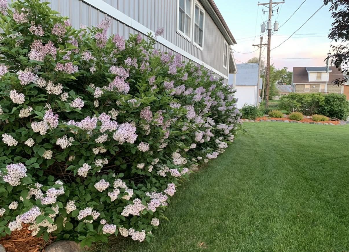 23566 Adams Street Independence WI 54747 — photo 51