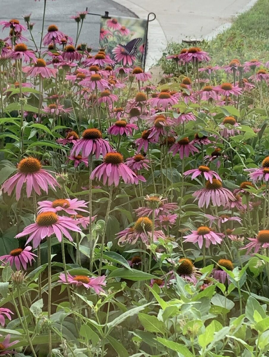 23566 Adams Street Independence WI 54747 — photo 54