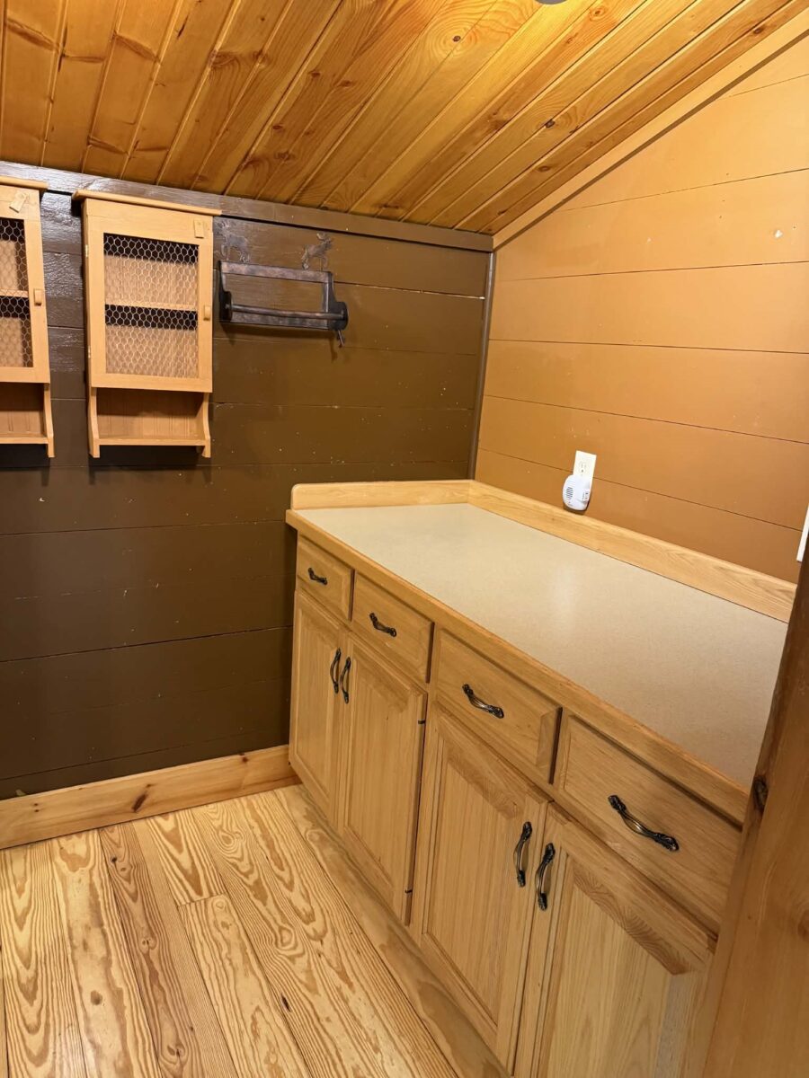 23566 Adams Street Independence WI 54747 — photo 8