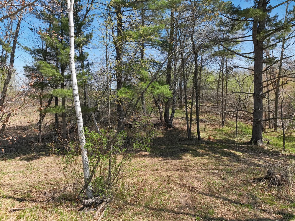 Residential at 2376 10 7/8 Avenue, Cameron, WI 54822 — photo 18