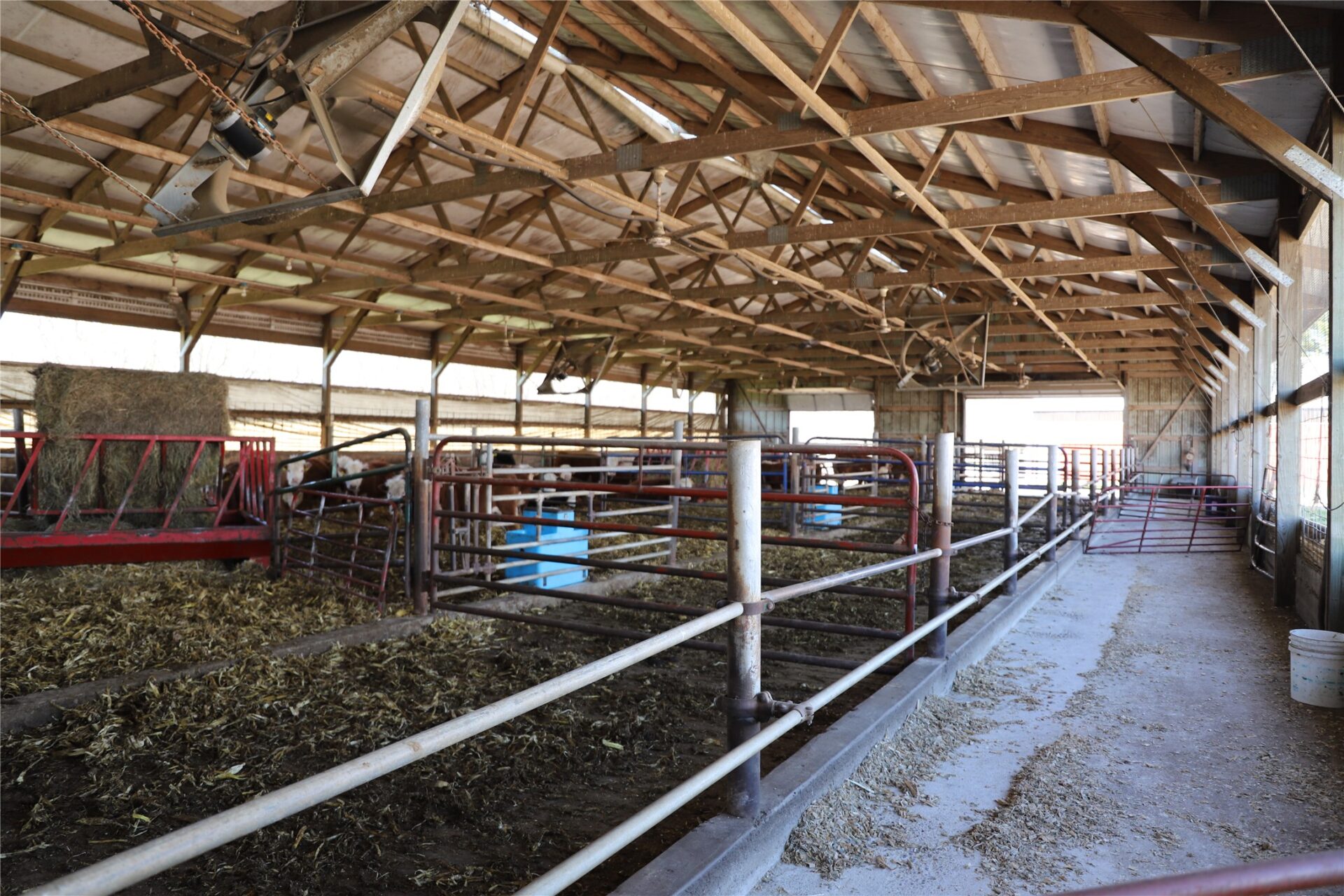 Residential at 2435 50th Avenue, Elk Mound, WI 54739 — photo 4