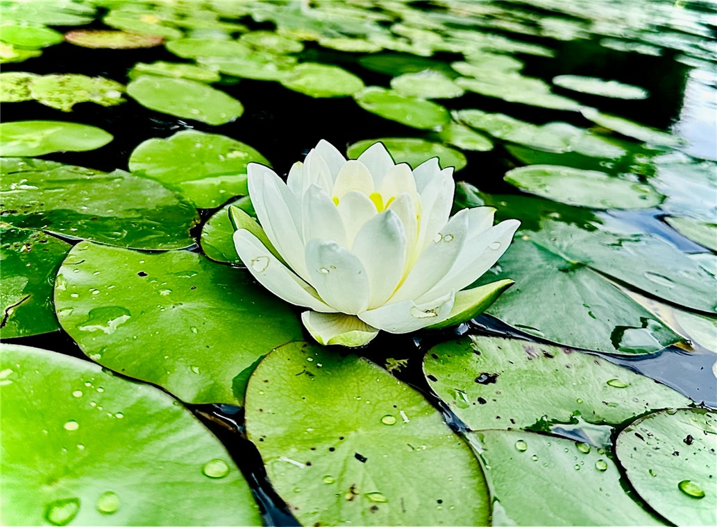 Residential at 2473 27 1/2 Street, Rice Lake, WI 54868 — photo 22