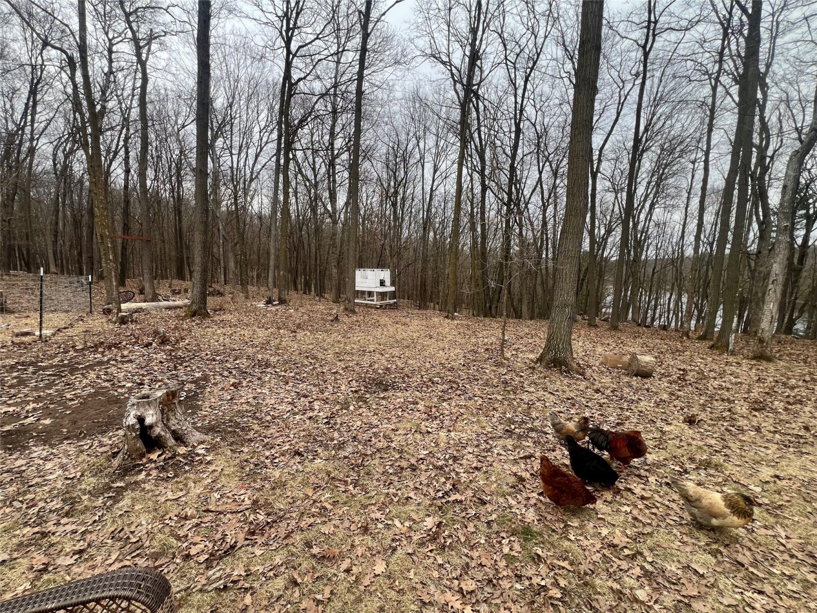 2639 2 1/2 Street, Cumberland, WI — photo 15