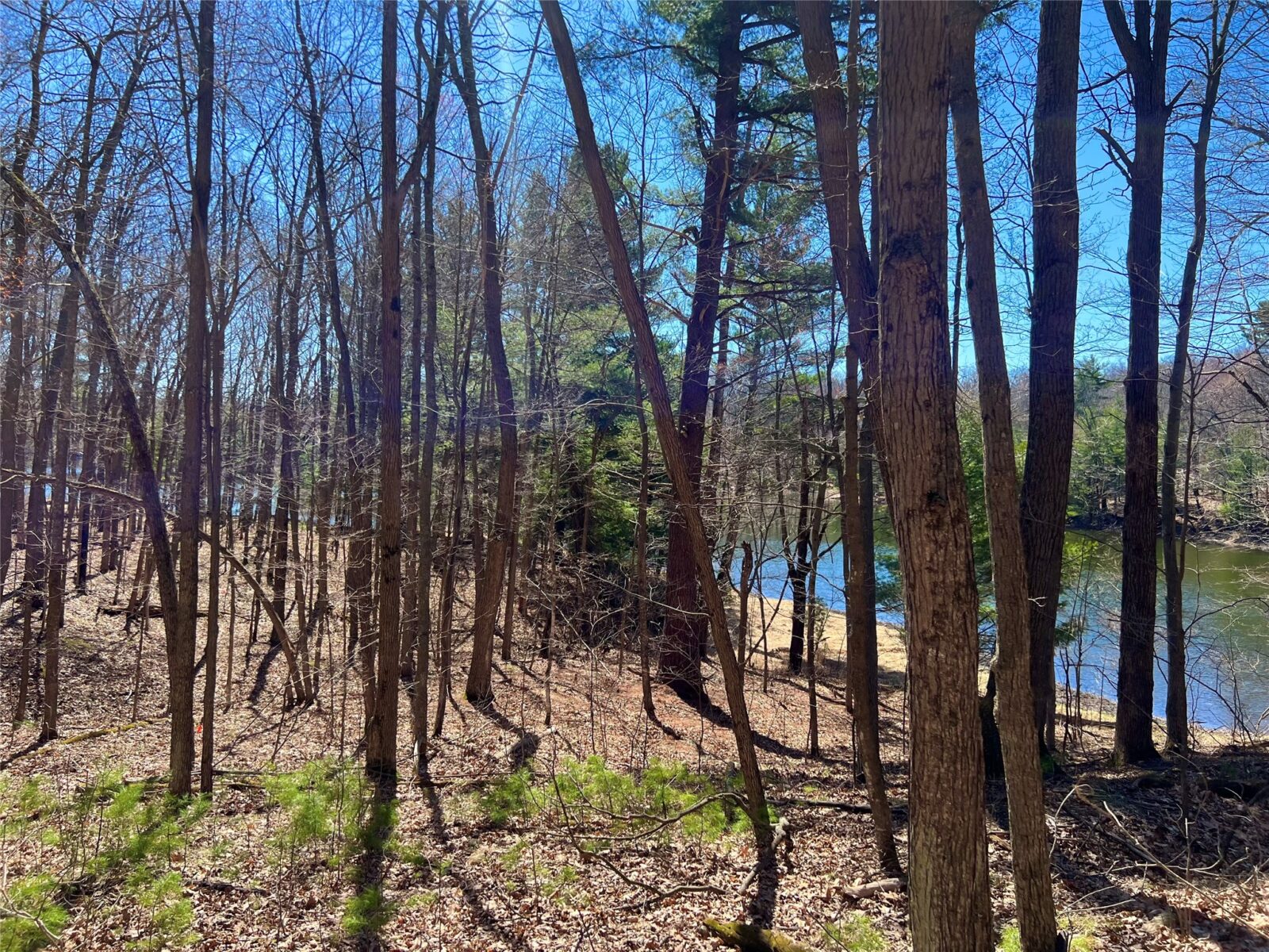 2639 2 1/2 Street, Cumberland, WI — photo 5