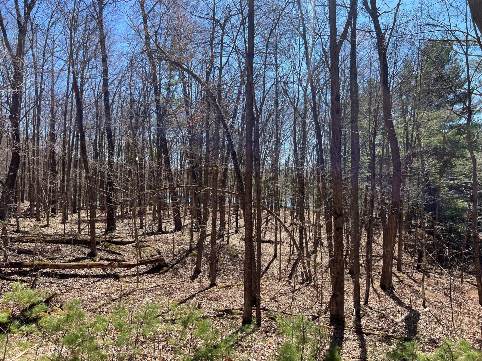 2639 2 1/2 Street, Cumberland, WI — photo 6