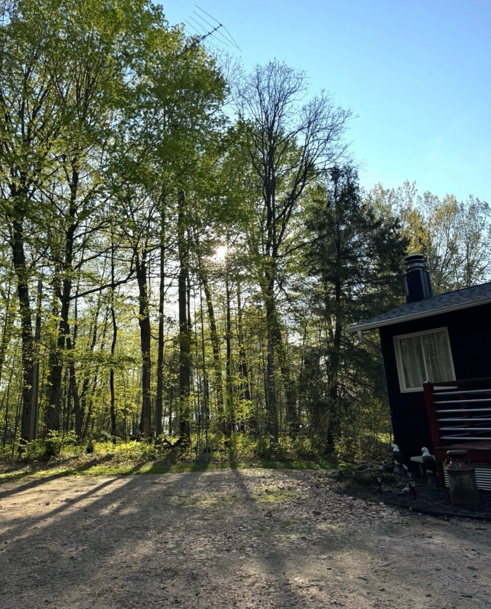 Residential at 2649 28 1/8 Street, Birchwood, WI 54817 — photo 29