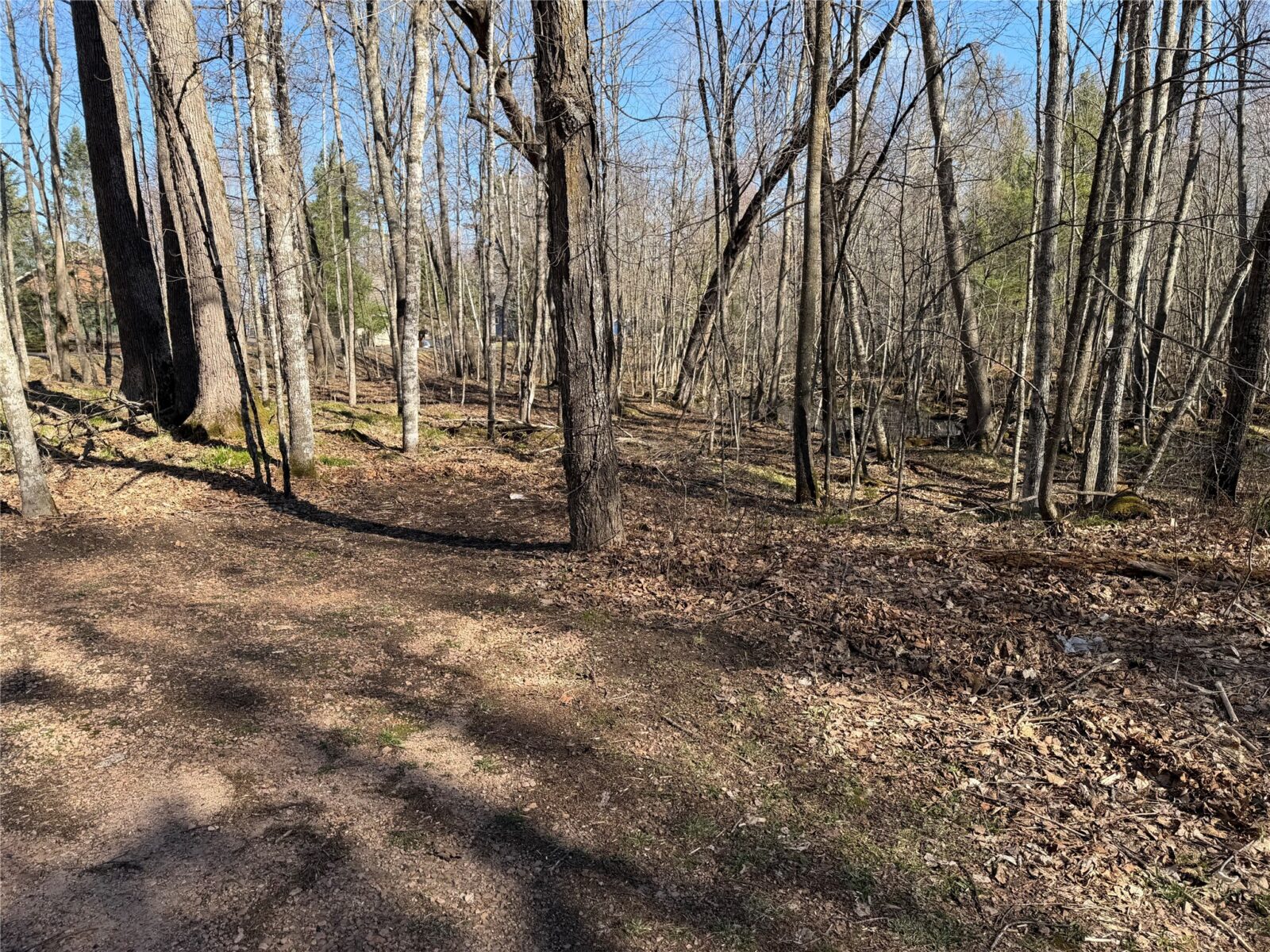 Residential at 2649 28 1/8 Street, Birchwood, WI 54817 — photo 33