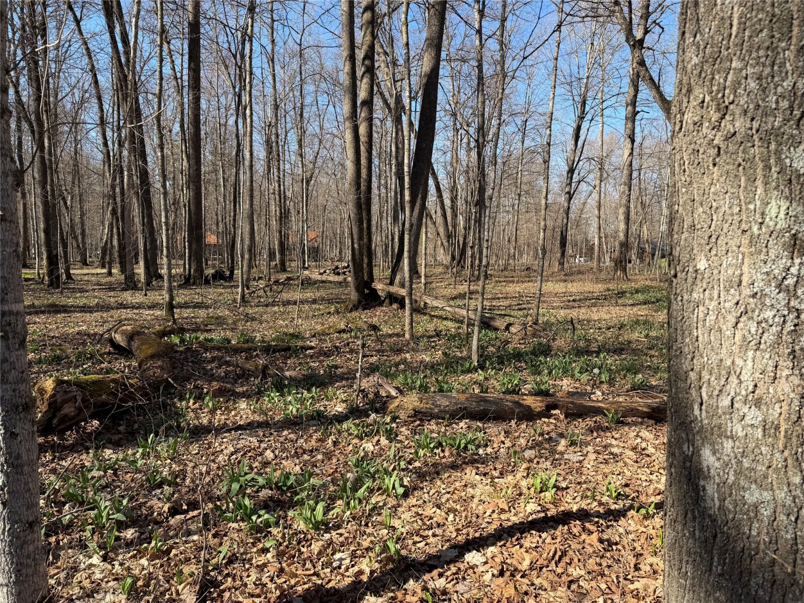 Residential at 2649 28 1/8 Street, Birchwood, WI 54817 — photo 34