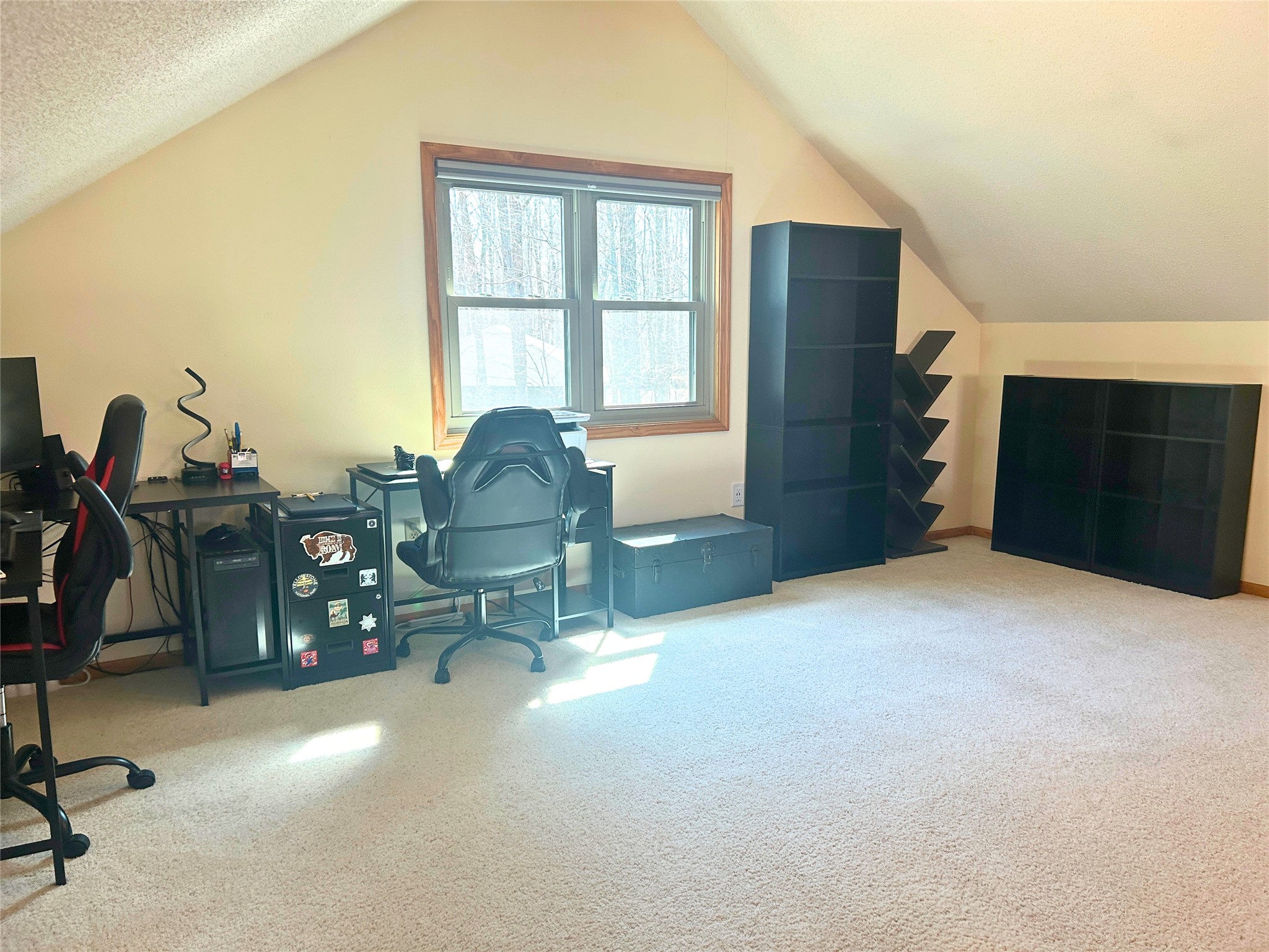 2697-28th-Birchwood-WI-54817-4