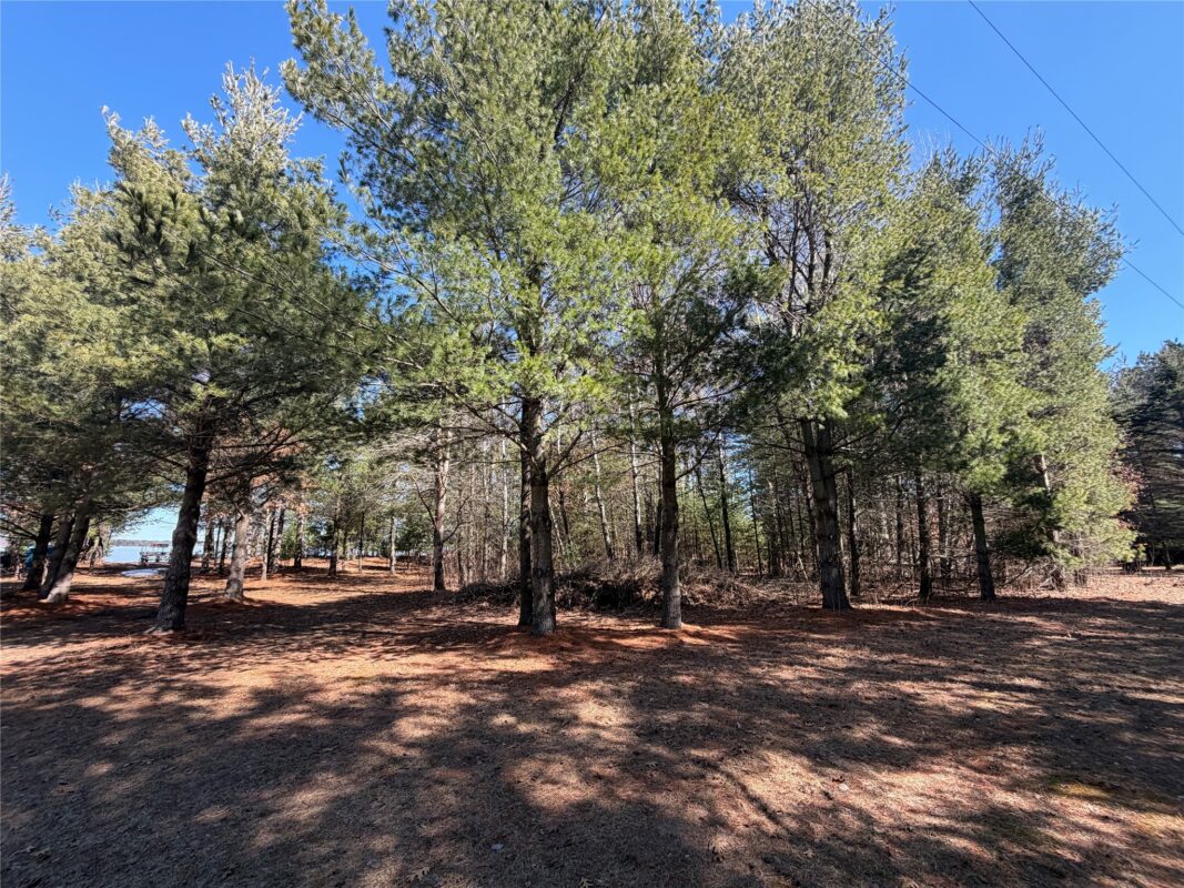Land at 27102 Daniel Dr (14 LOTS), Webster, WI 54893 — photo 45