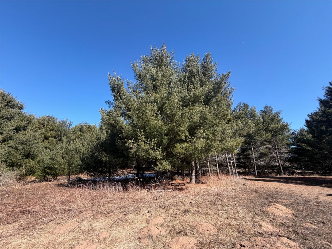 Land at 27102 Daniel Dr (14 LOTS), Webster, WI 54893 — photo 46