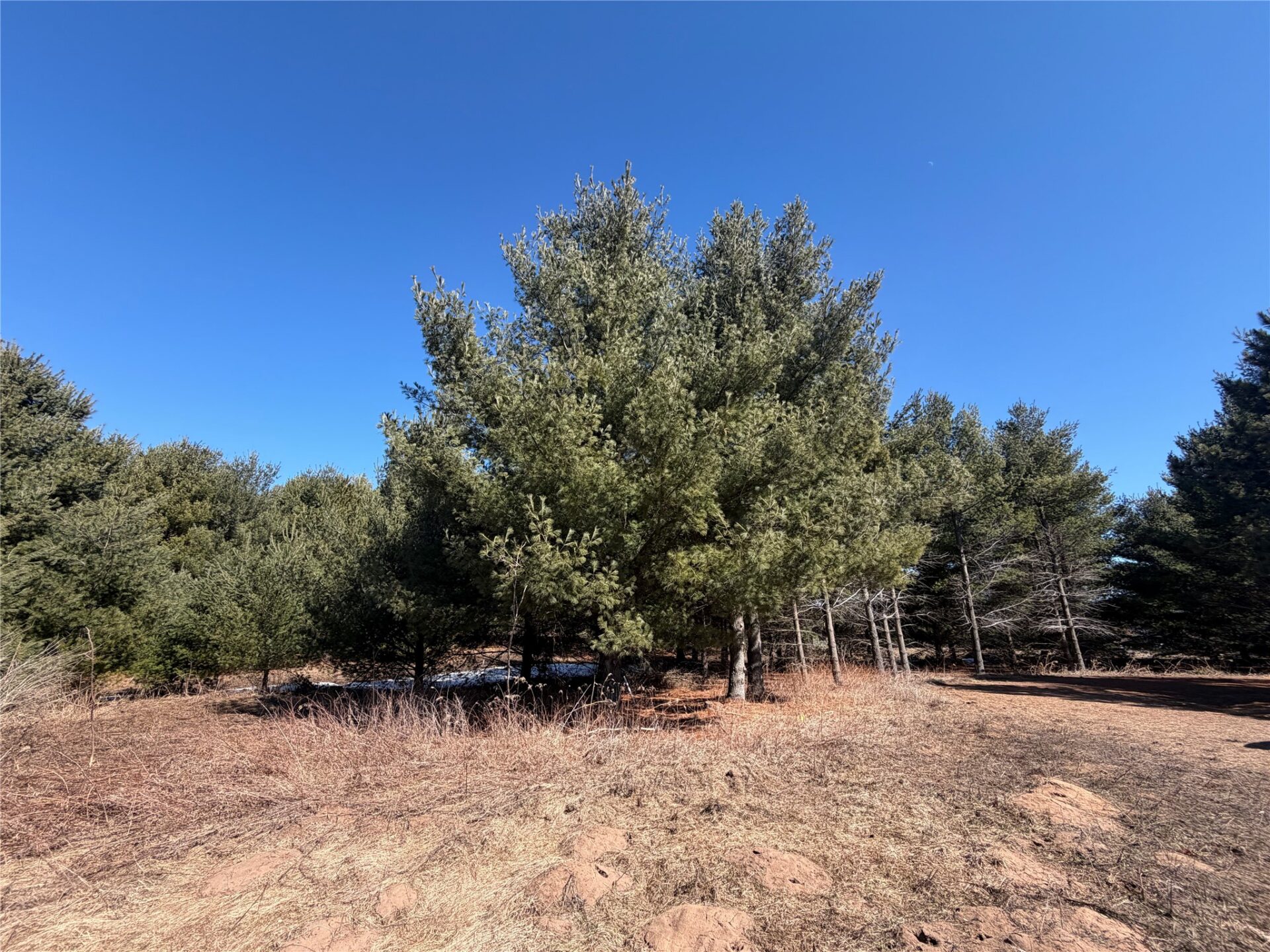 Land at 27102 Daniel Dr (14 LOTS), Webster, WI 54893 — photo 46