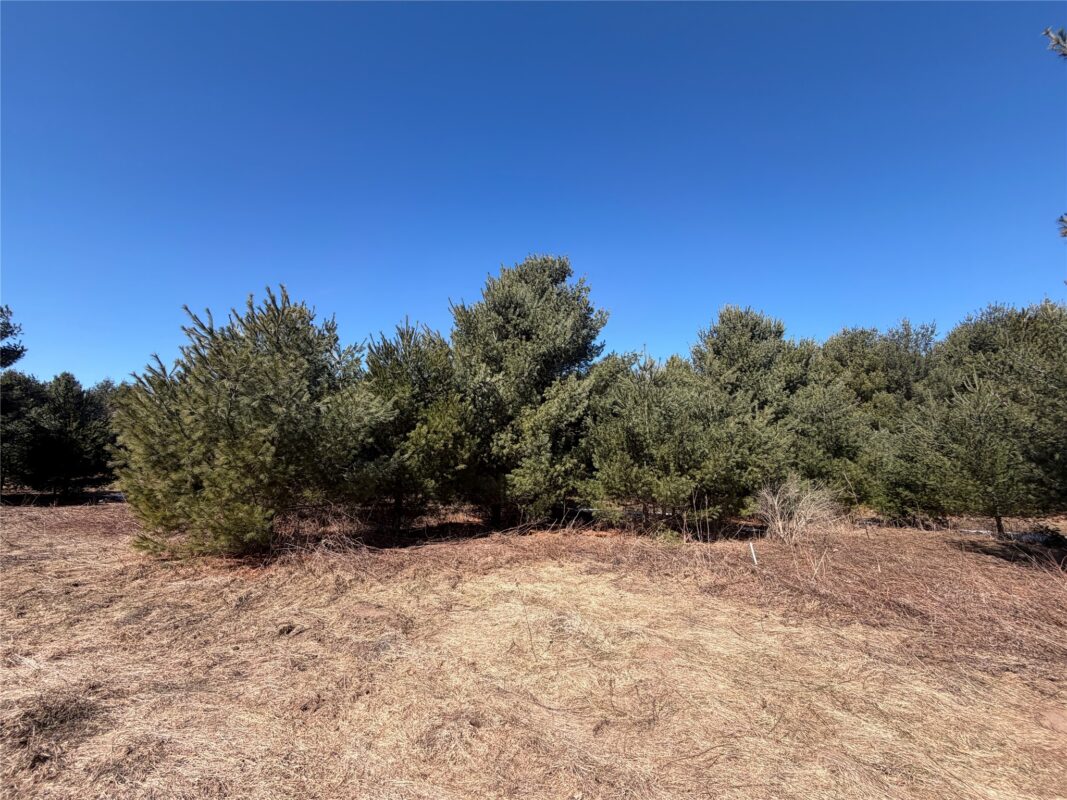 Land at 27102 Daniel Dr (14 LOTS), Webster, WI 54893 — photo 47
