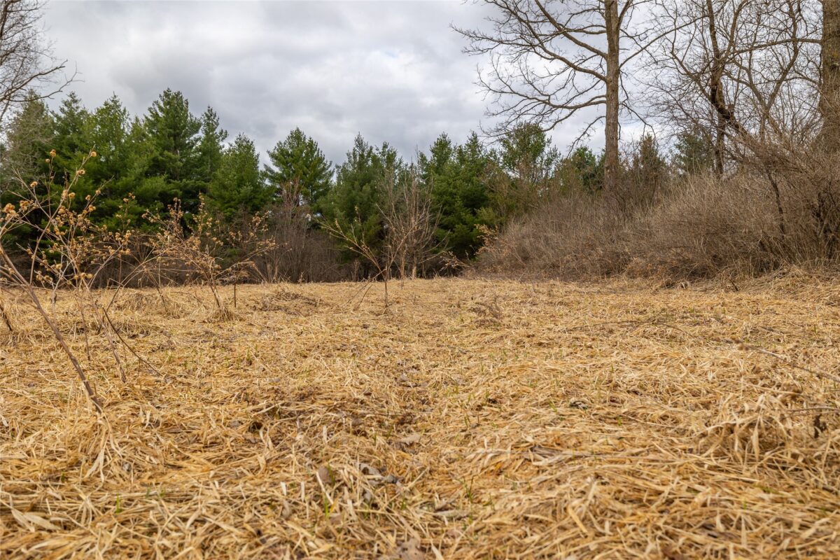 Residential at 2742 Pray Avenue, Neillsville, WI 54456 — photo 5