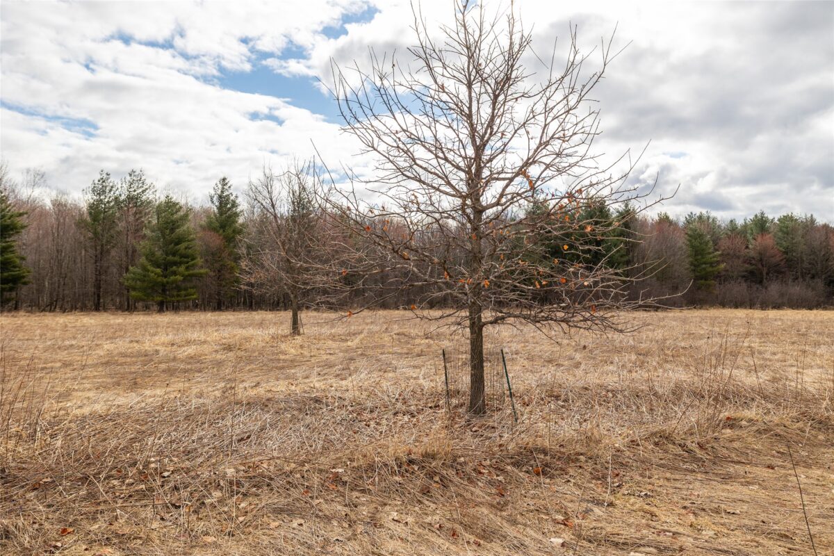 Residential at 2742 Pray Avenue, Neillsville, WI 54456 — photo 6