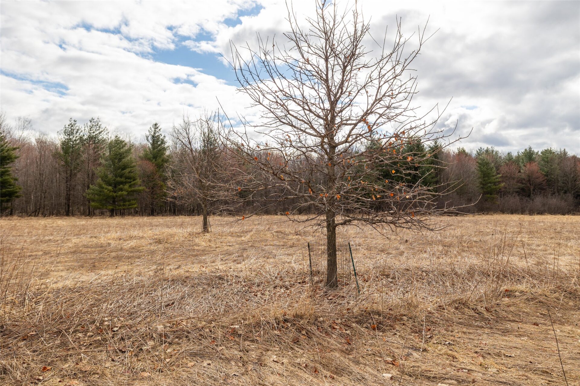 Residential at 2742 Pray Avenue, Neillsville, WI 54456 — photo 6