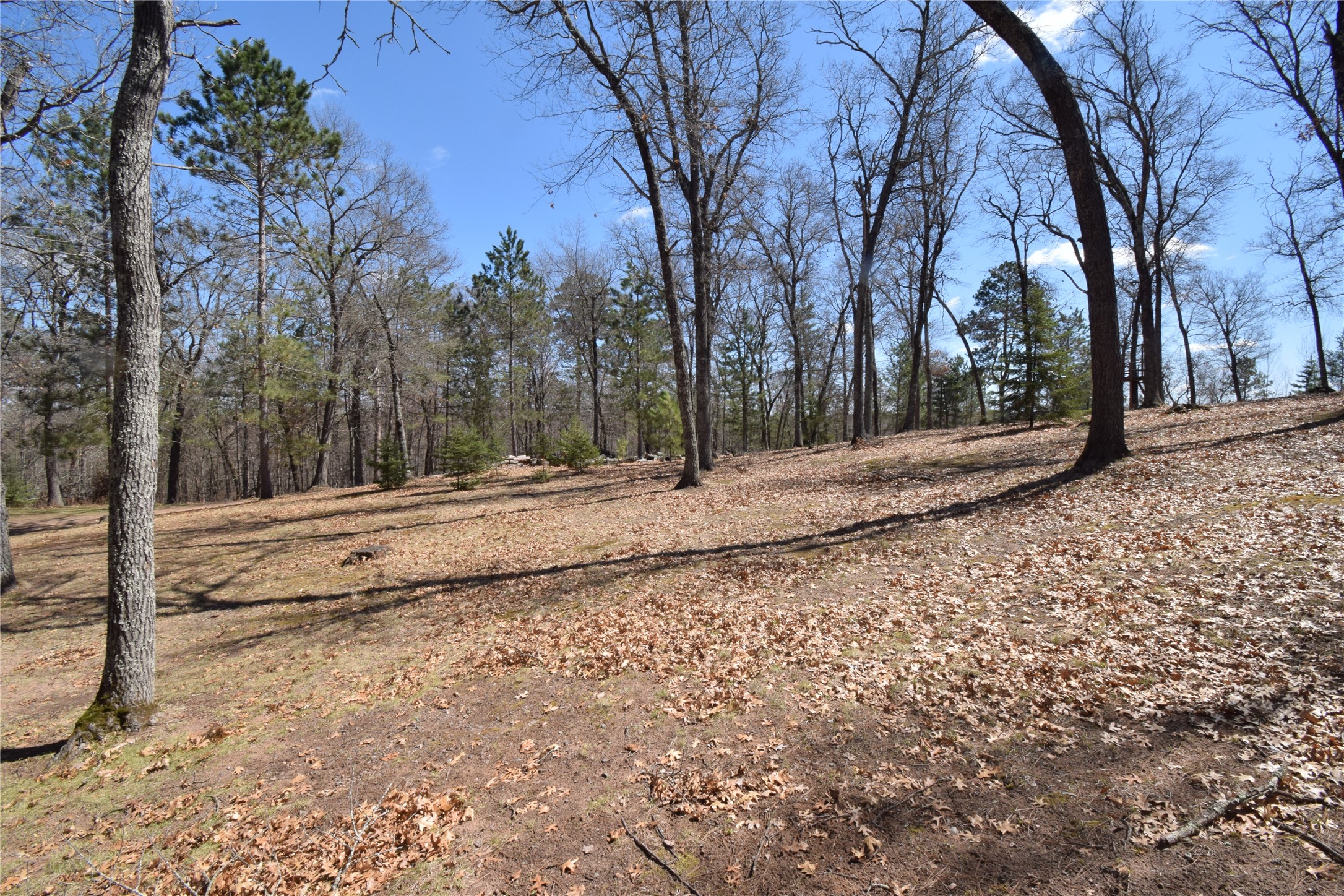 2748 Irons Lane, Danbury, WI — photo 58