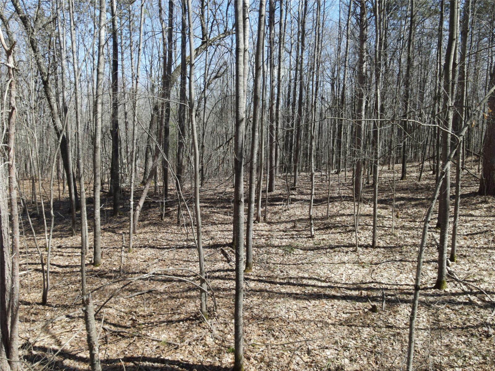 27846 290th Avenue, Holcombe, WI — photo 2