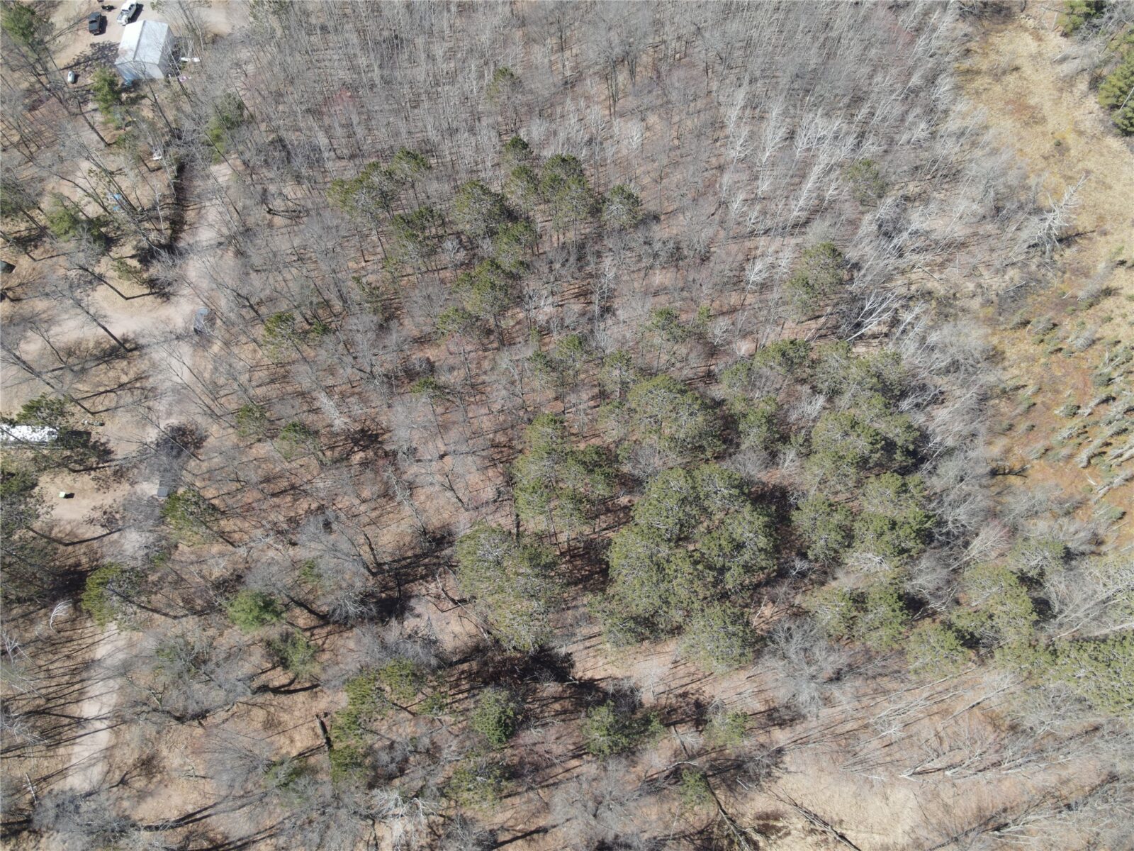 27846 290th Avenue, Holcombe, WI — photo 11