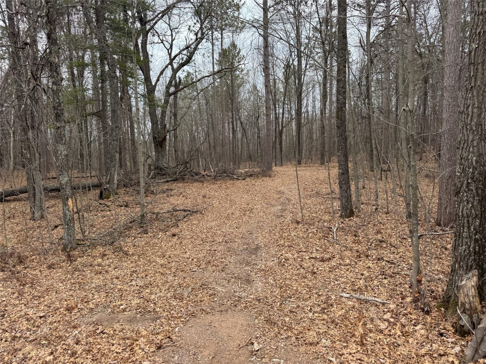 27846 290th Avenue, Holcombe, WI — photo 3