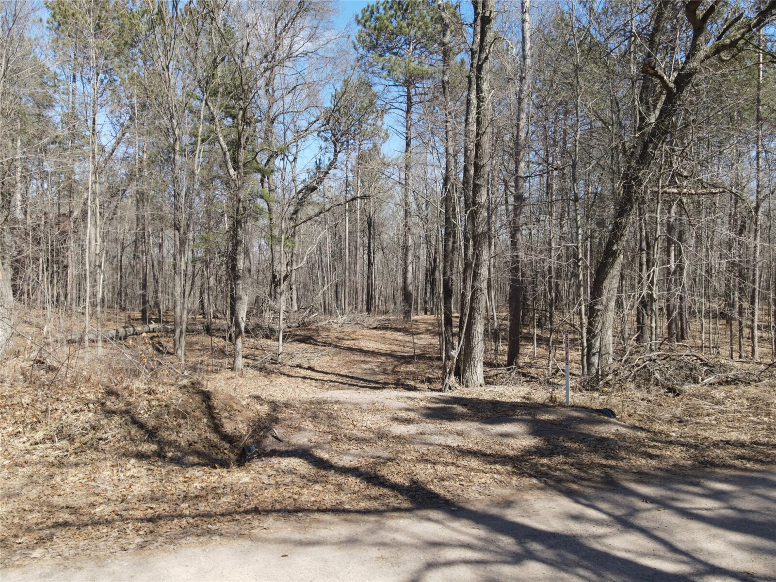 27846 290th Avenue, Holcombe, WI — photo 4