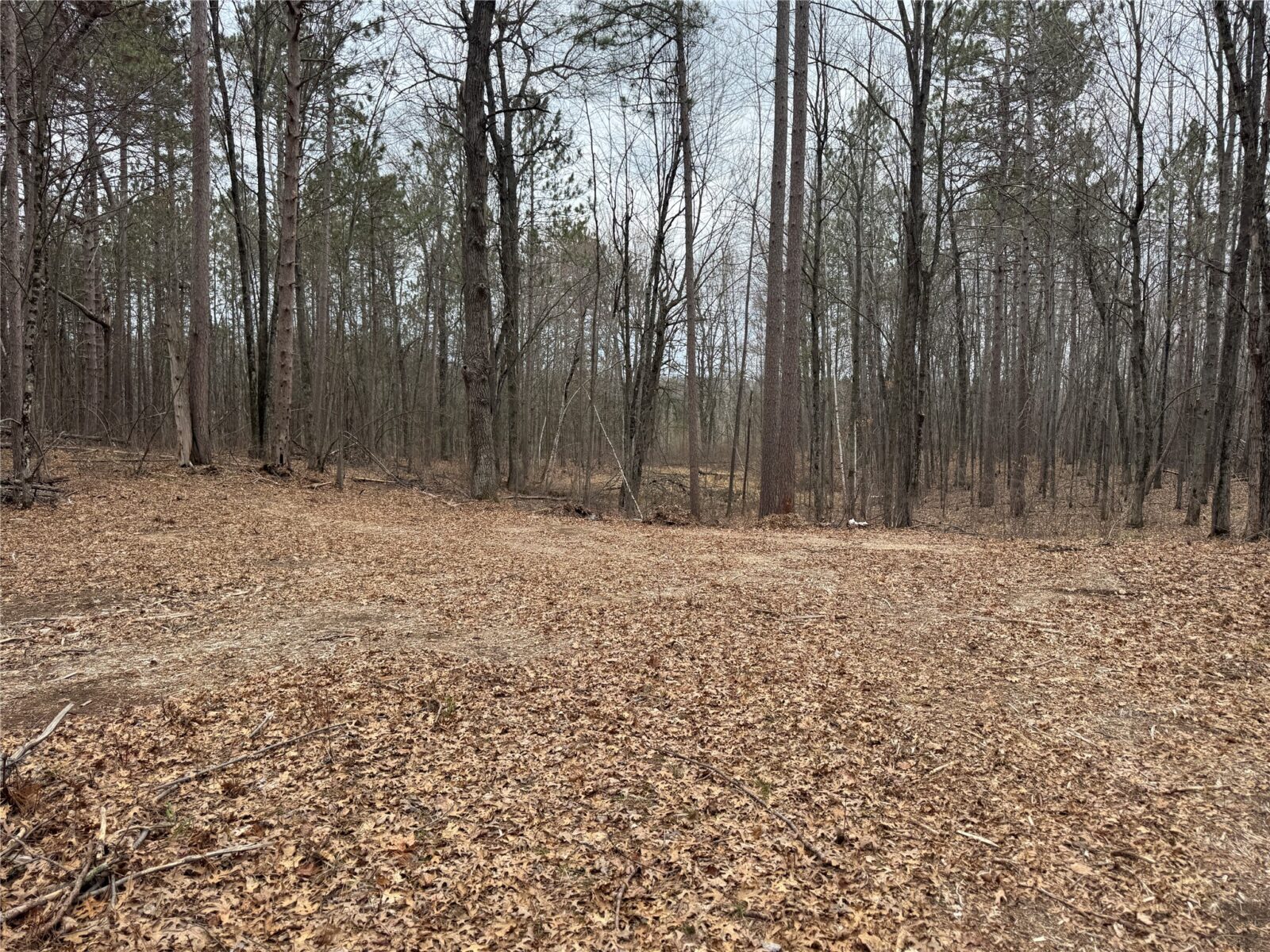 27846 290th Avenue, Holcombe, WI — photo 5