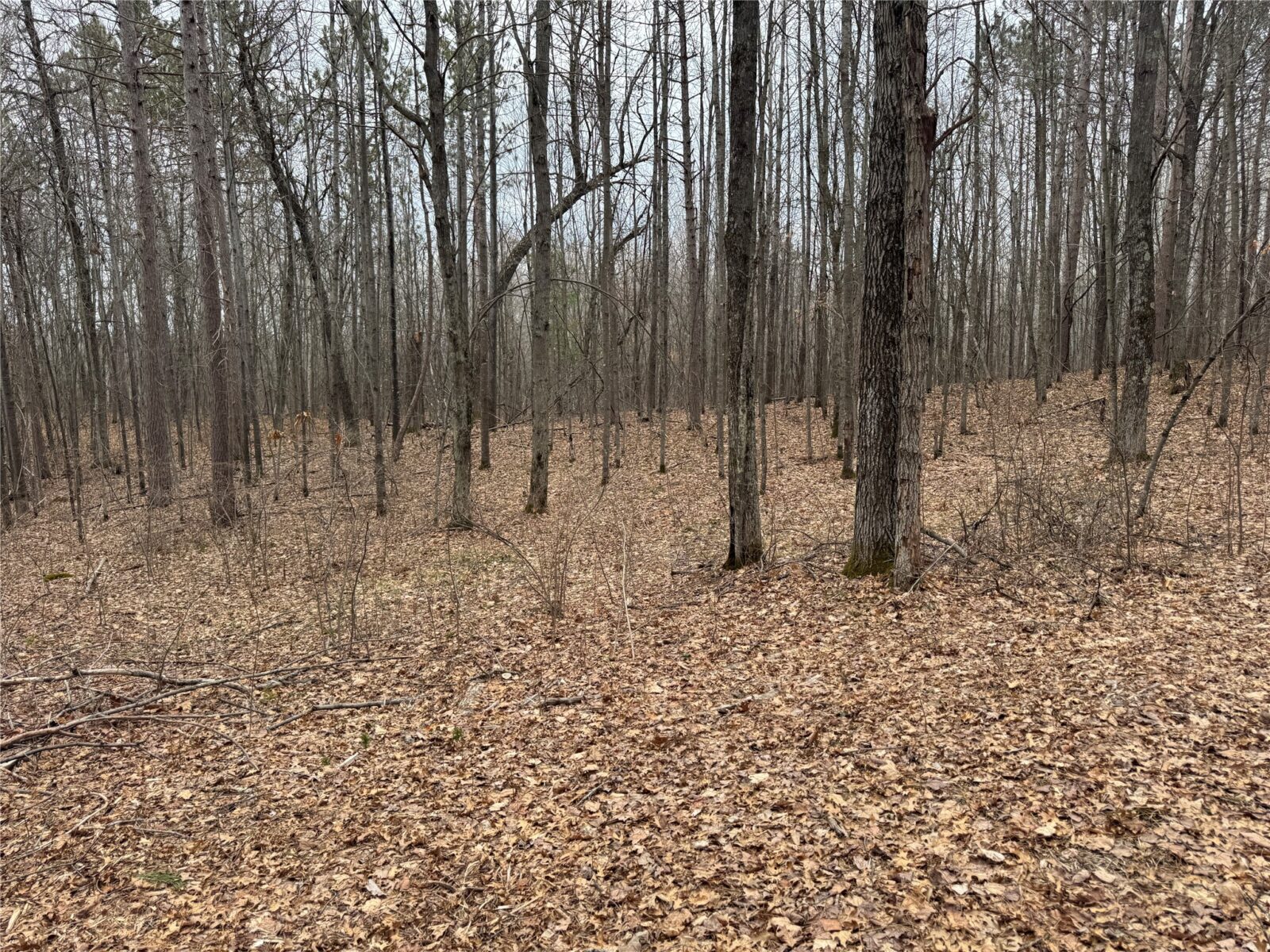 27846 290th Avenue, Holcombe, WI — photo 6